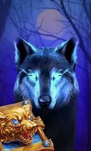 Book Of The Night Wolf
